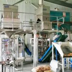 Dalawang unit ng Millet automatic packaging machine ang kumpletong pag-install at pag-debug sa pabrika ng aming kliyente