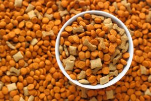 Mga Alagang Hayop sa Pagkain