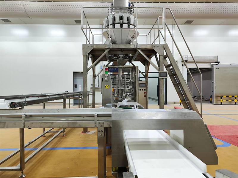 awtomatikong packing machine para sa frozen na pagkain.6