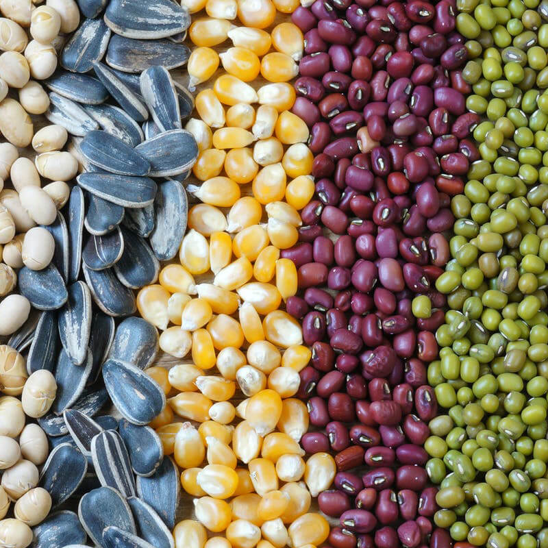 Awtomatikong buto packaging machine